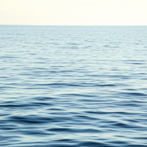 Curso de Evaluación de impacto ambiental