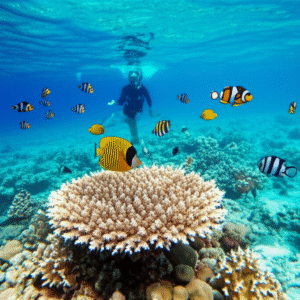 Curso de Fotografía de vida marina