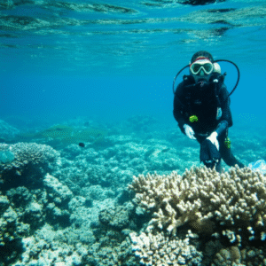 Curso de Conservación de arrecifes y mares