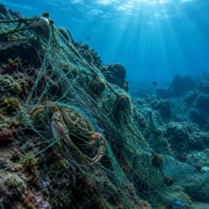 Red de pesca abandonada enredada en un arrecife