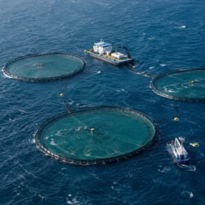 Jaulas de acuicultura offshore en mar abierto